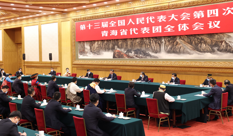 3月7日，中共中央總書記、國(guó)家主席、中央軍委主席習(xí)近平參加十三屆全國(guó)人大四次會(huì)議青海代表團(tuán)的審議。新華社記者 黃敬文 攝