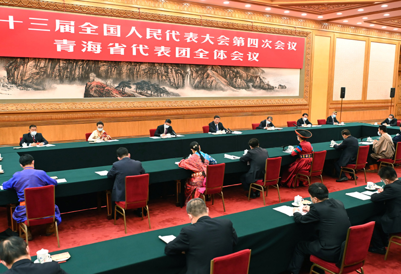 習(xí)近平參加青海代表團(tuán)審議 