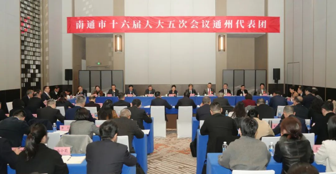 張彤參加通州代表團審議